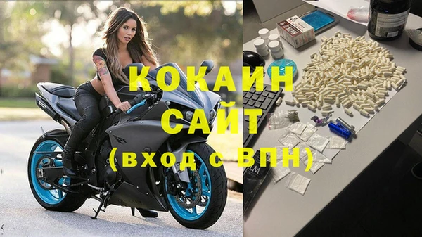 молекула духа Магадан