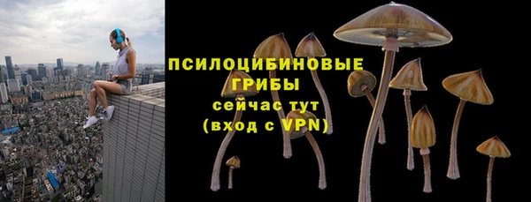 герыч Магас