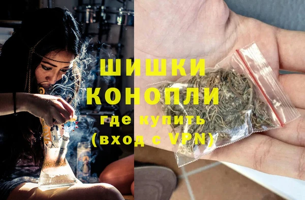 молекула духа Магадан