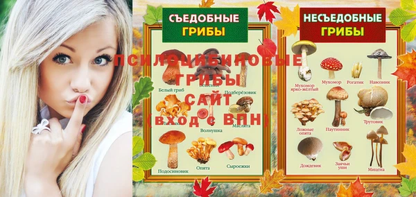 молекула духа Магадан