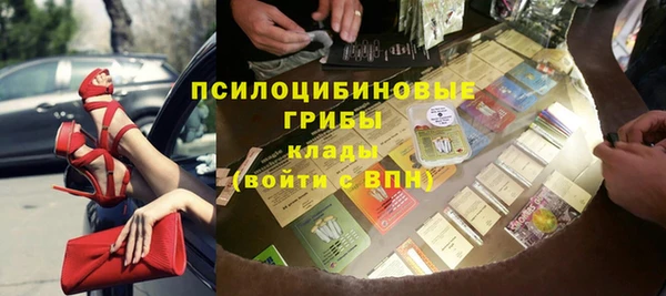 молекула духа Магадан